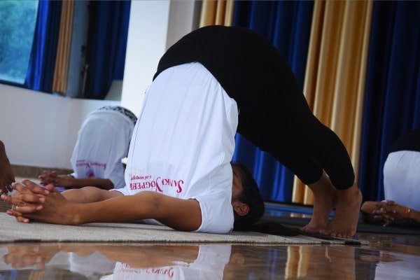 yoga-teacher-training